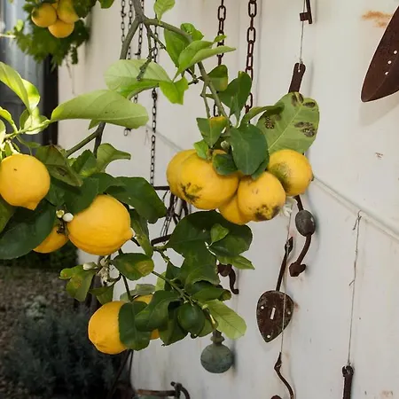 Martina Bed & Breakfast San Vito (Sardinia)