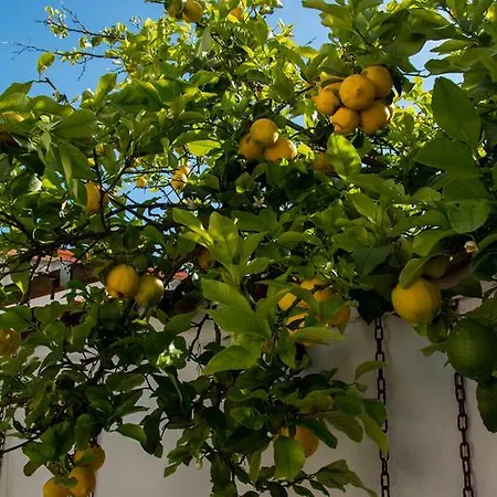 Martina Bed & Breakfast 3*