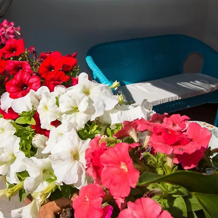 Martina Bed & Breakfast