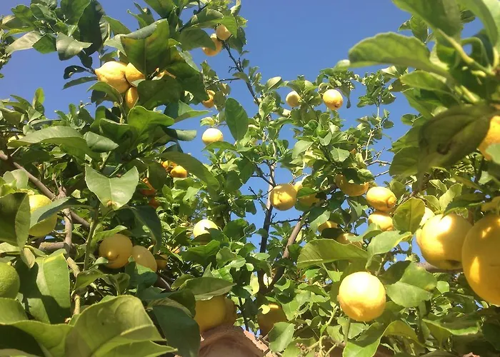 Martina Panzió San Vito