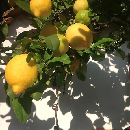 Bed & Breakfast Martina 3*