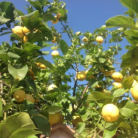 Martina Bed & Breakfast San Vito (Sardinia)