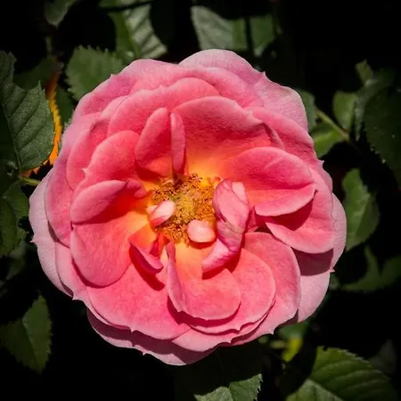 Bed & Breakfast Martina San Vito (Sardinia)