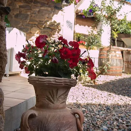 Bed & Breakfast Martina