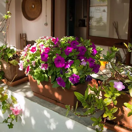 Martina Bed & Breakfast