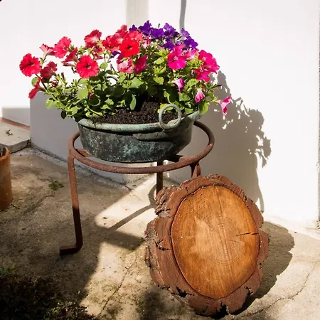 Martina Couette-café San Vito (Sardinia)