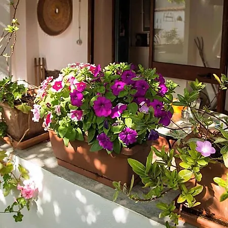 Martina 3* San Vito (Sardinia)